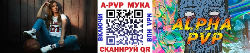 как найти   Владикавказ  Альфа ПВП СК КРИС 