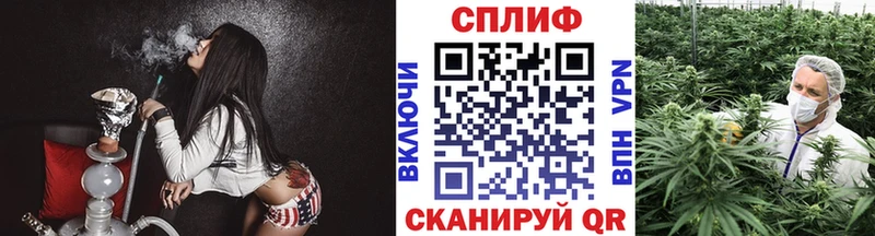 Конопля марихуана  Владикавказ 